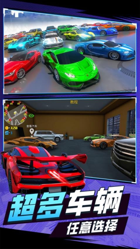 3D狂野赛车游戏v1.00.06 3