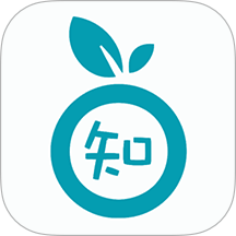 销售知点果手机版