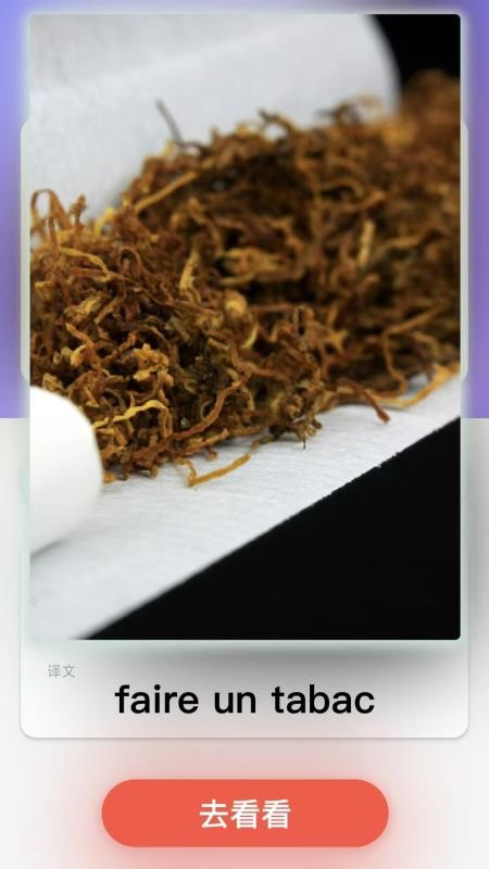 西班牙语翻译手机版v2.0.1(4)