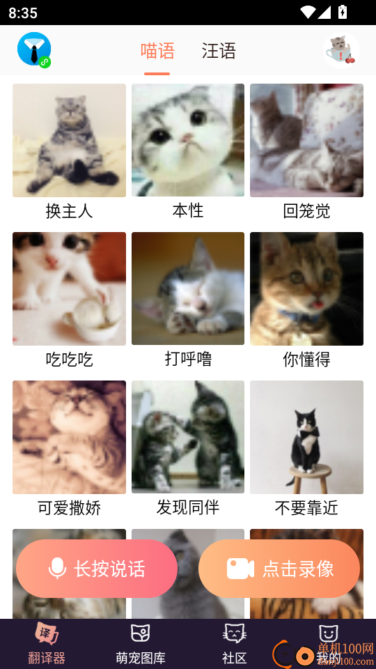 猫语翻译器官网版