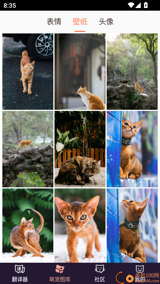 猫语翻译器官网版