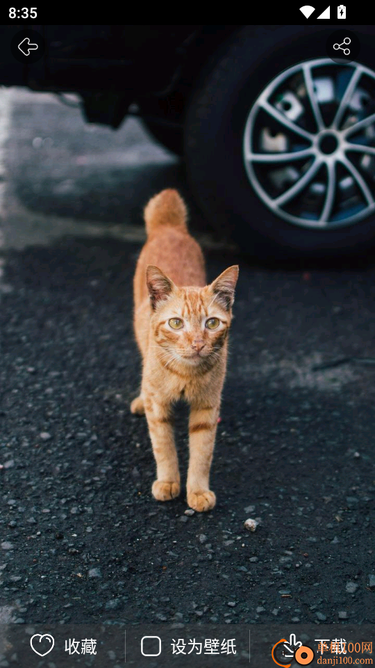 猫语翻译器官网版