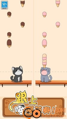 猫咪二重奏小米版