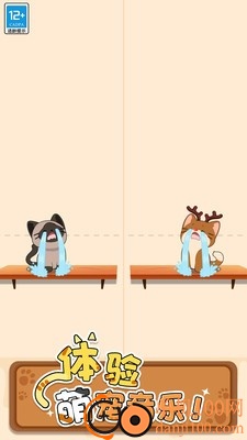 猫咪二重奏小米版