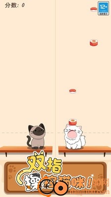 猫咪二重奏小米版