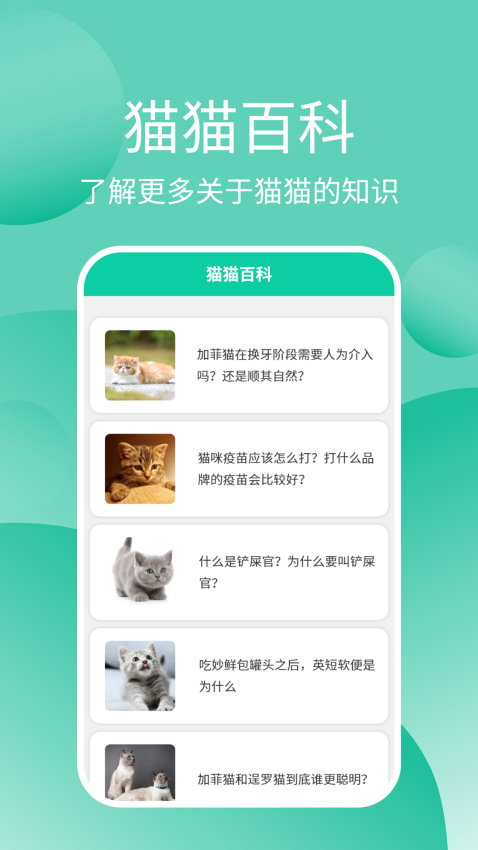 貓貓交流器appv3.3.7 3