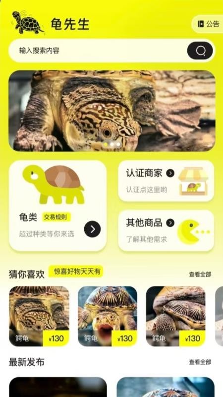 龟先生最新版v1.0.0(3)