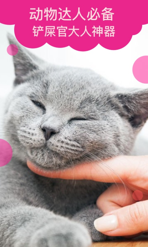 猫语翻译官方版v2.0.9(4)