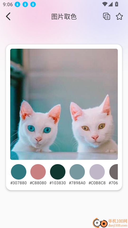 识色配色君官网版