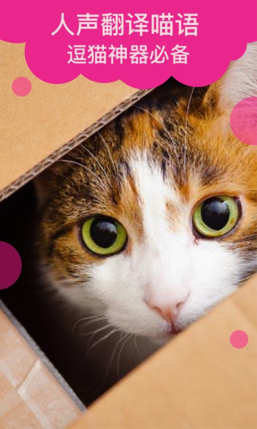 猫语翻译官方版v2.0.9(2)