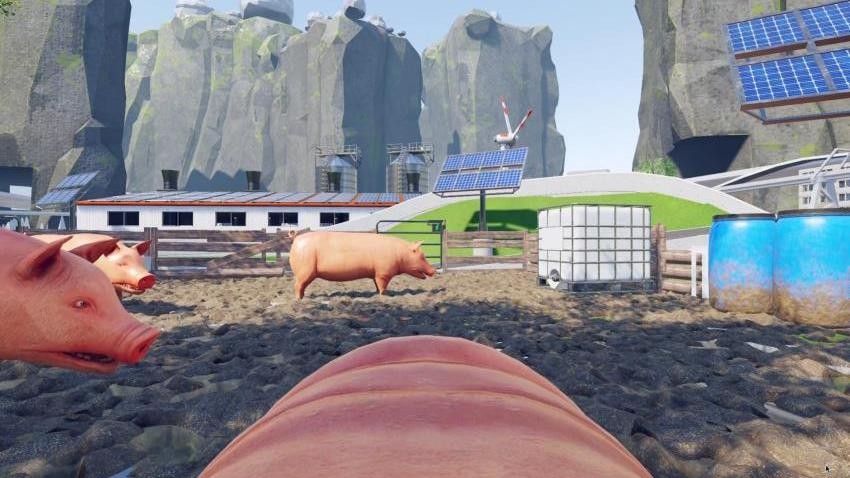 小猪模拟器2游戏v1.0 3