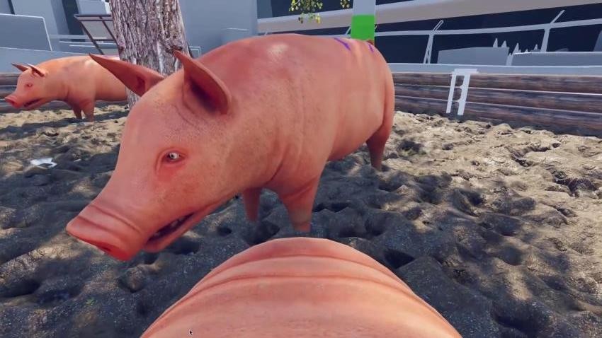 小猪模拟器2游戏v1.0 2