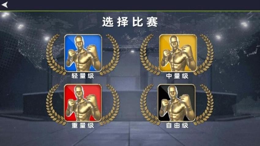 功夫格斗手游v0.251025.182 5