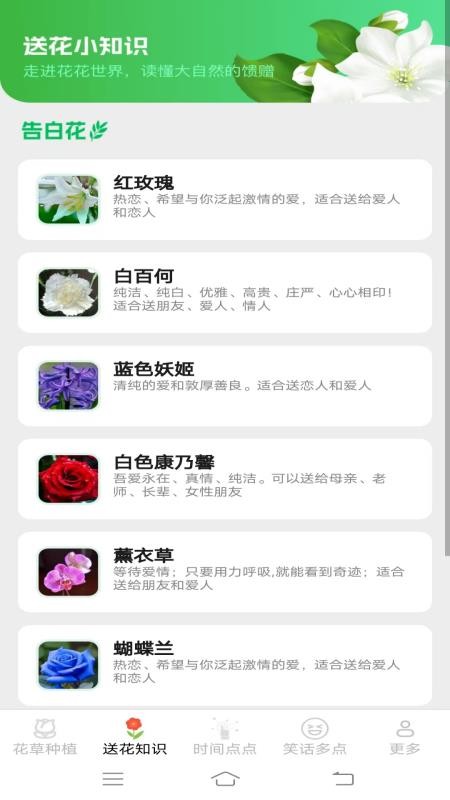 花草多点最新版v2.4.2.2 3