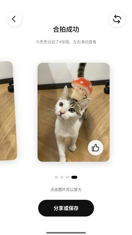 Picaaland手机版v1.0.0 4