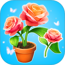 消花朵来富贵游戏 v1.0.1