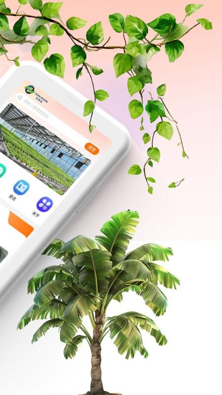 西得香蕉拍卖最新版v1.1.3 4