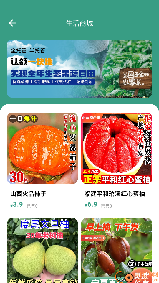 龙行天下最新版