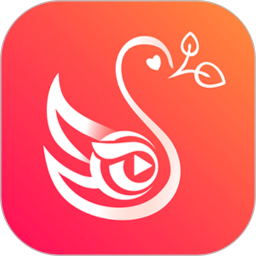 极数传媒最新版本