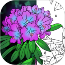 乐涂数字填色手机版