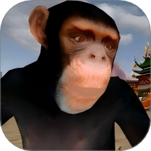 公狒狒沙盒模组冒险手游 v1.0.0