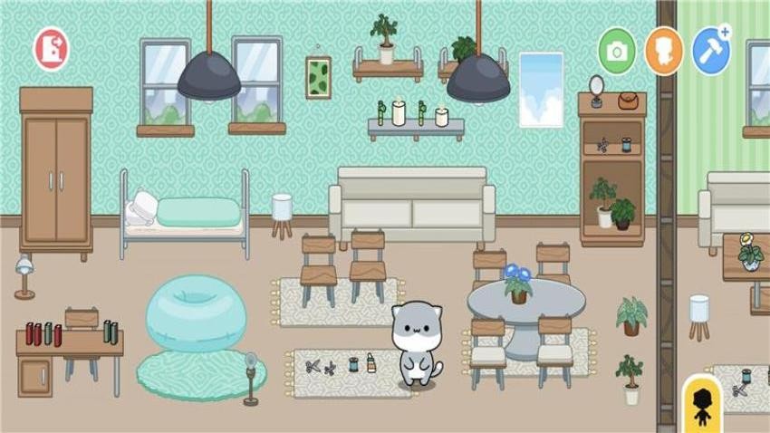 亲爱的猫咪手游v1.8.0 3