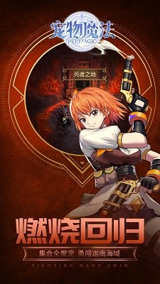 宠物魔法游戏v1.0 2