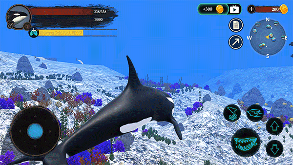 虎鲸模拟器游戏(The Killer Whale)v1.2.2 3