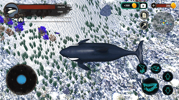 虎鲸模拟器游戏(The Killer Whale)v1.2.2 4