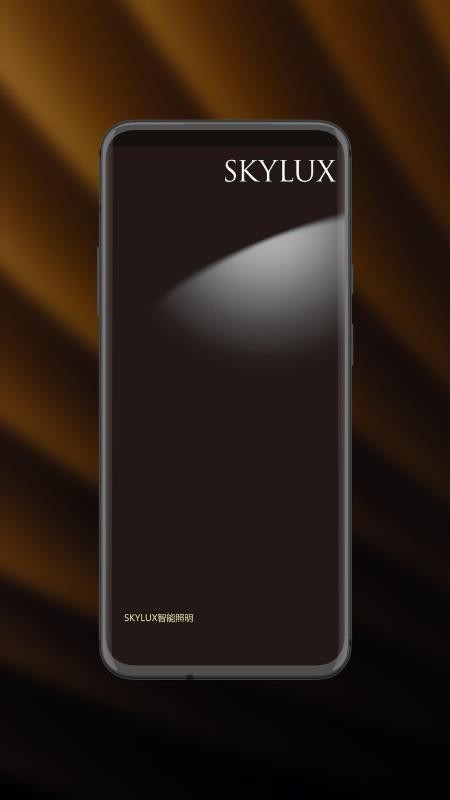 智能照明SK官方版v1.0.1(1)