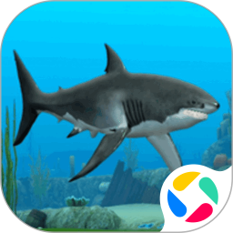 鲨鱼模拟器游戏 v1.0