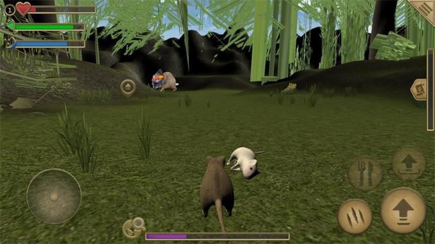 真实老鼠生存模拟器游戏v1.1(2)