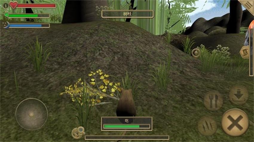 真实老鼠生存模拟器游戏v1.1(4)