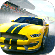 狂野极速赛车游戏