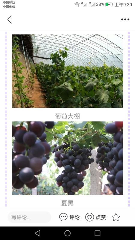 冀云怀来官方版v3.2.8(2)