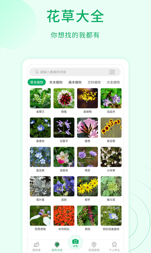 花草识别最新版v1.1.8 1