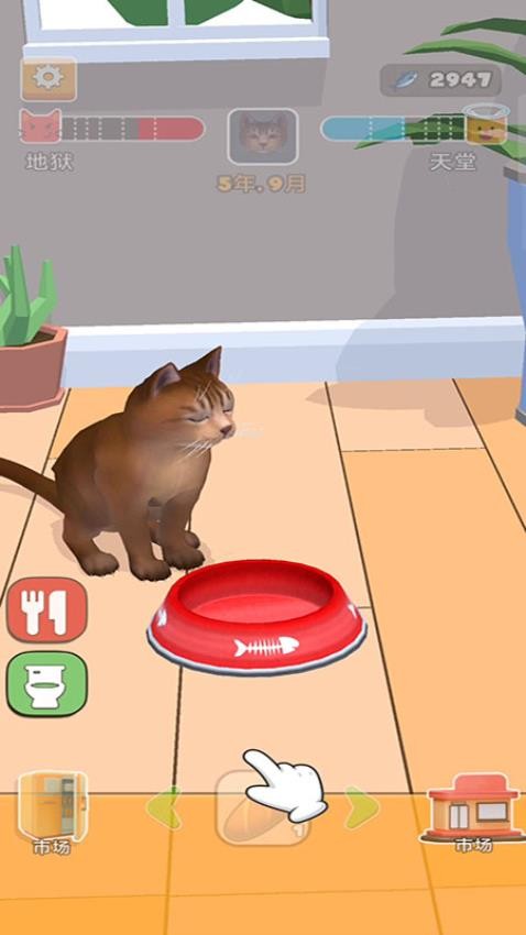 猫咪想恋爱游戏v187.1.1 3
