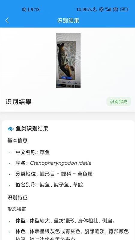 识鱼最新版v1.1.0(4)