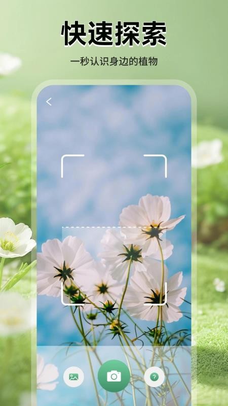 花团锦绣拾光最新版v1.1 2