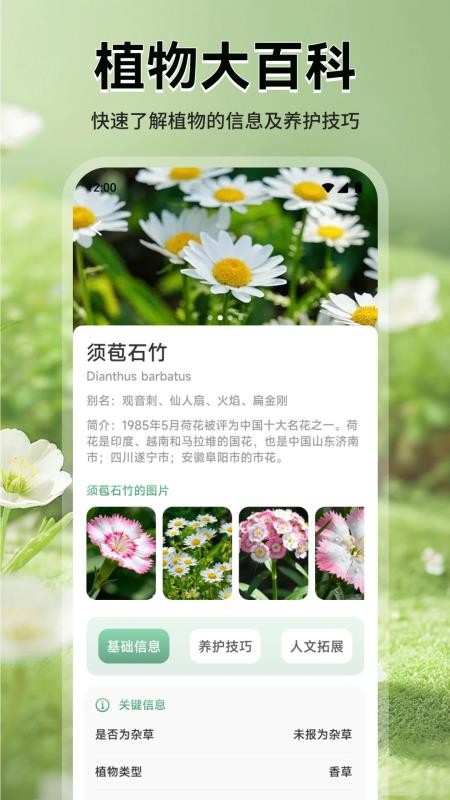 花团锦绣拾光最新版v1.1 4