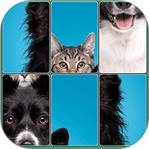 逻辑拼图游戏 v1.0.0