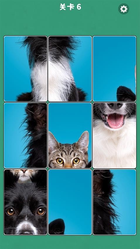 逻辑拼图游戏v1.0.0 3