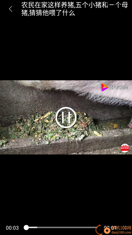 全民养猪场官网版