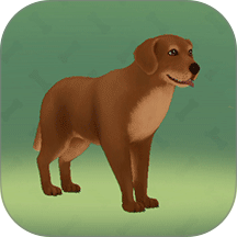 超级宠物之友手游 v187.1.2