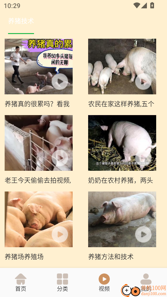 全民养猪场官网版