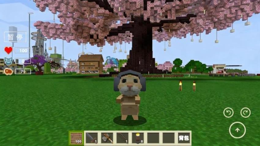 像素冒险生存游戏v1.1 3