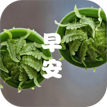 成友早安免费版