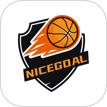 Nice goal手机版 v1.0
