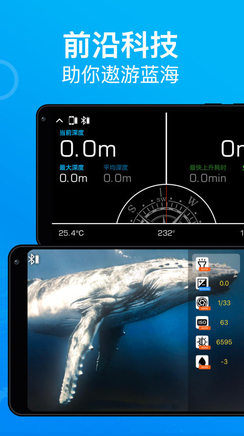 Dive+官网版v3.6.12 1