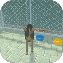 宠物救助站游戏